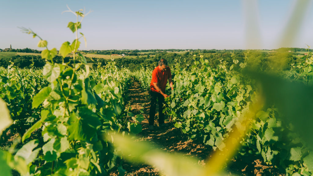 Domaine bidgi Mehdi bdn