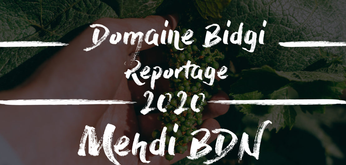 Domaine bidgi Mehdi bdn